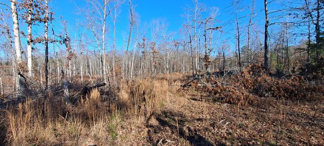 0 NW Piney Road, Dickson, TN 37055