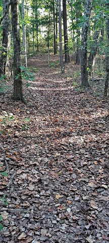 0 NW Piney Road, Dickson, TN 37055