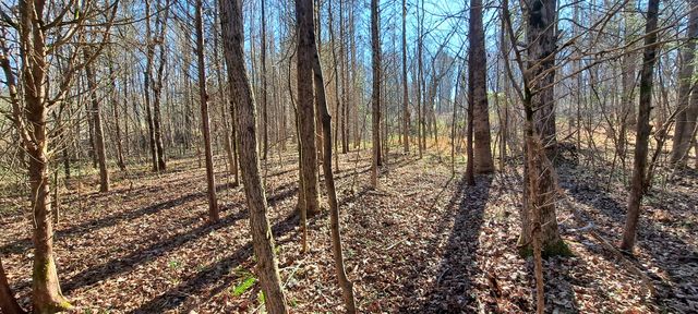 0 NW Piney Road, Dickson, TN 37055