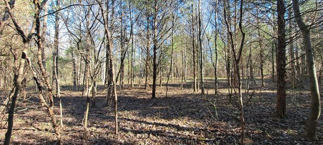 0 NW Piney Road, Dickson, TN 37055