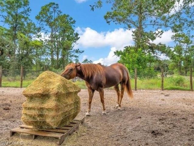 7644 19th TER, Labelle, FL 33935