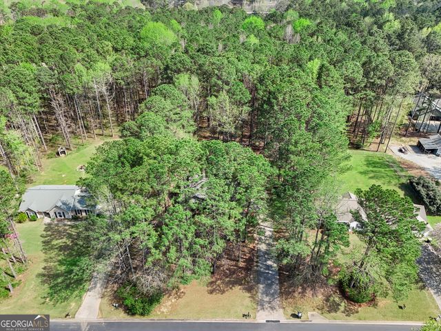 65 Posey Woods Drive, Newnan, GA 30265