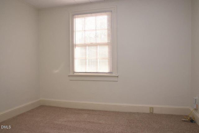 317 Grand Avenue, Raleigh, NC 27606
