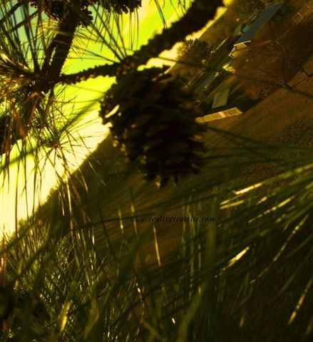 63201 E 282 Road, Grove, OK 74344