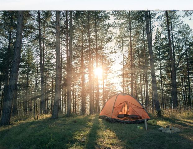 0 Queen Anne, Huntsville, TX 77340