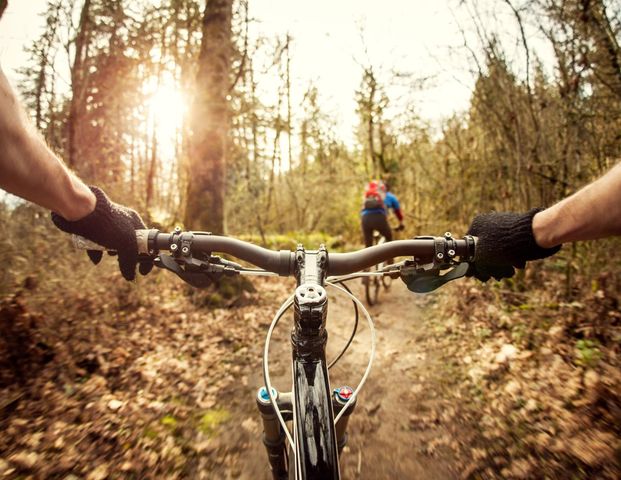 0 Queen Anne, Huntsville, TX 77340