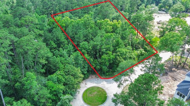 22 Majestic Falls Drive, Kingwood, TX 77339