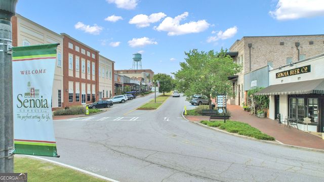 8 Melba Court, Senoia, GA 30276