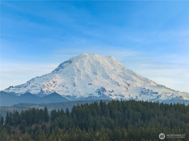 19908 135th Avenue E, Graham, WA 98338