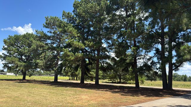 5337 Dusty Road, Athens, TX 75752