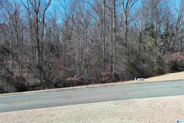0 ASHBURY DRIVE, Warrior, AL 35180