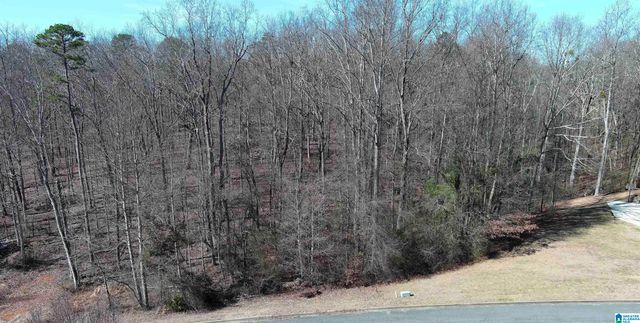0 ASHBURY DRIVE, Warrior, AL 35180