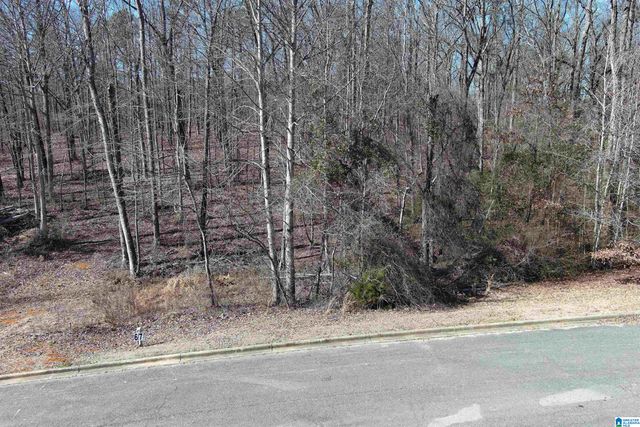 0 ASHBURY DRIVE, Warrior, AL 35180