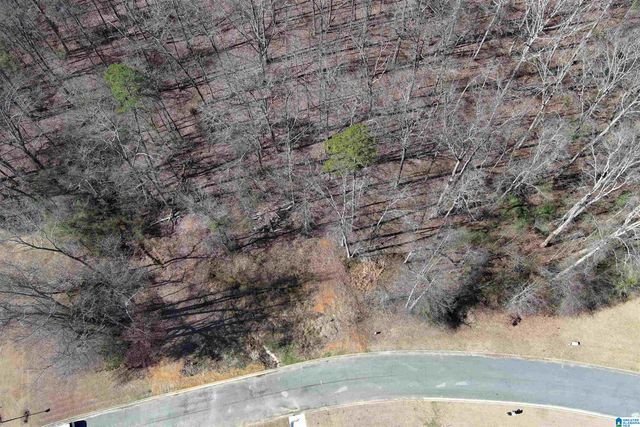 0 ASHBURY DRIVE, Warrior, AL 35180