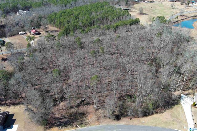 0 ASHBURY DRIVE, Warrior, AL 35180