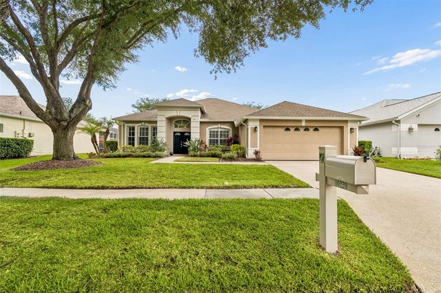 10229 QUAILS LANDING AVENUE, Tampa, FL 33647