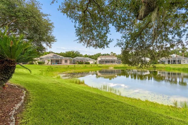10229 QUAILS LANDING AVENUE, Tampa, FL 33647