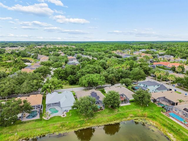 10229 QUAILS LANDING AVENUE, Tampa, FL 33647
