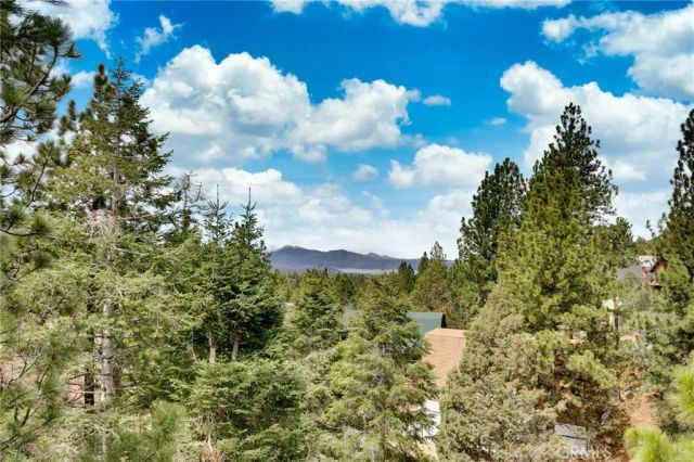 43897 Yosemite Drive, Big Bear Lake, CA 92315