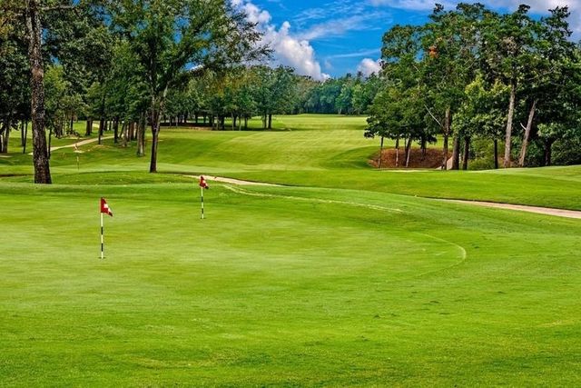 280 Roaring Fork Circle, Gordonville, TX 76245