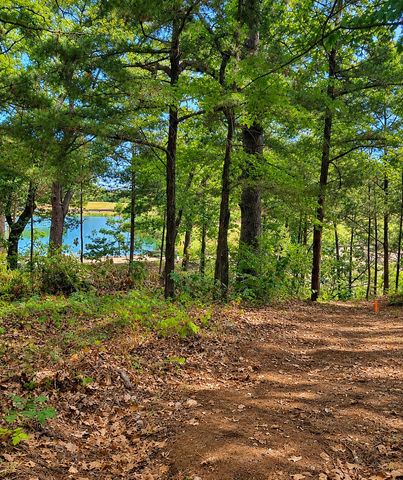 280 Roaring Fork Circle, Gordonville, TX 76245