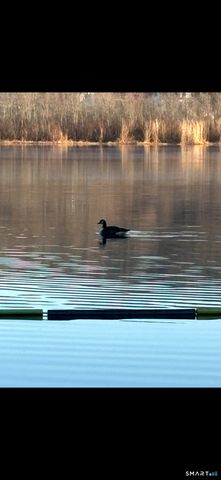 219 Twin Lakes Road APT A, North Branford, CT 06471