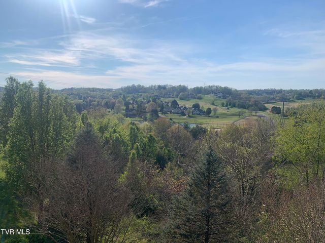 17 Cypress Ridge Court, Jonesborough, TN 37659