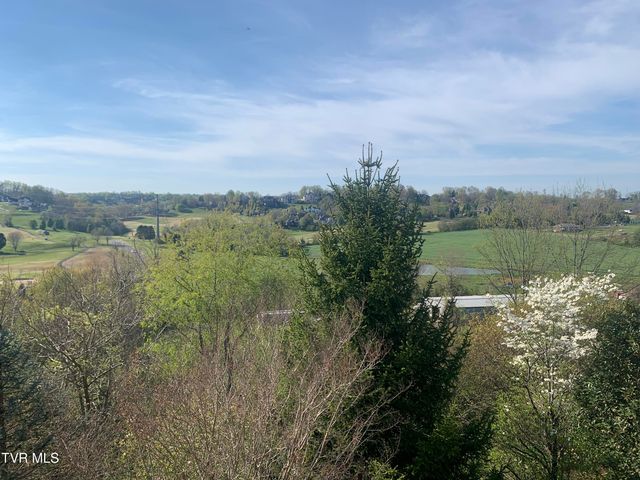 17 Cypress Ridge Court, Jonesborough, TN 37659