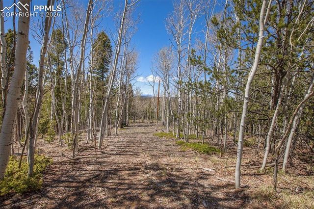 1548 Golden Cycle Circle, Cripple Creek, CO 80813