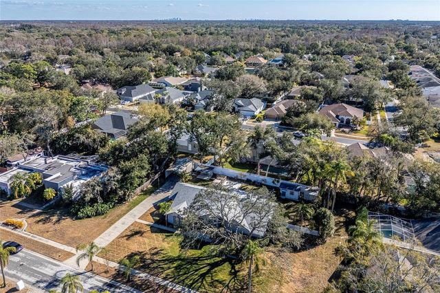 15912 ARMISTEAD LANE, Odessa, FL 33556