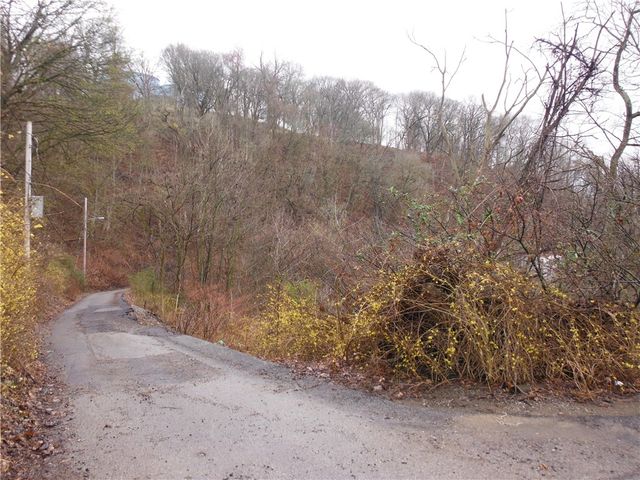 3,9,15,18 Roanoke St, South Side, PA 15203