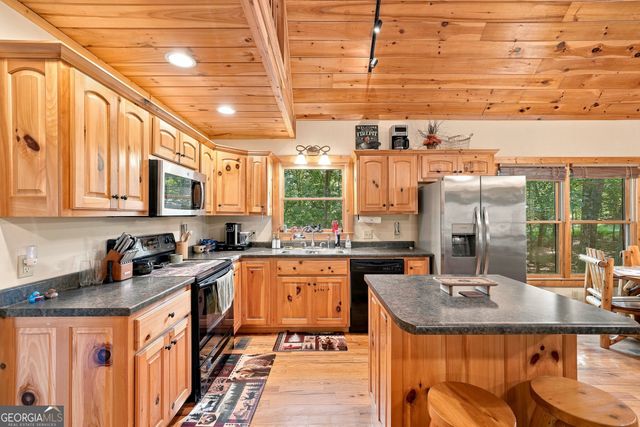 529 Newel Drive 1490, Ellijay, GA 30540