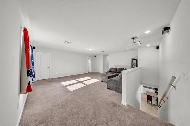 1009 GOLDEN SHINER AVENUE, Ruskin, FL 33570
