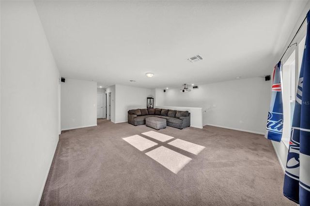 1009 GOLDEN SHINER AVENUE, Ruskin, FL 33570