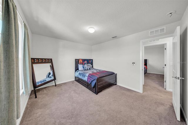 1009 GOLDEN SHINER AVENUE, Ruskin, FL 33570