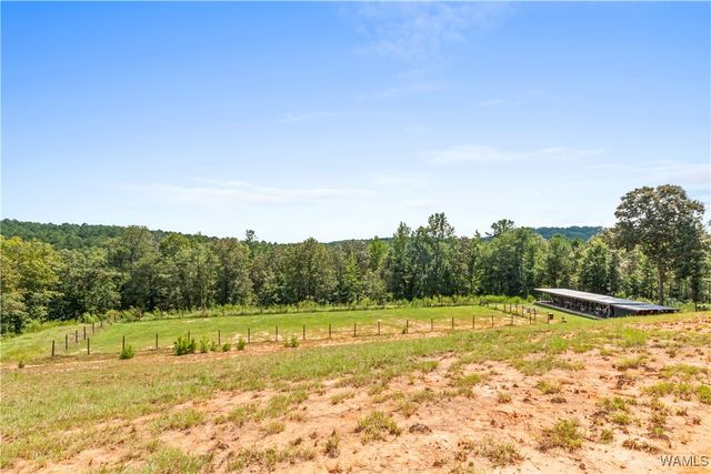 11762 Brant Ward Rd, Coaling, AL 35453