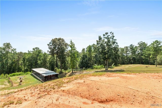 11762 Brant Ward Rd, Coaling, AL 35453