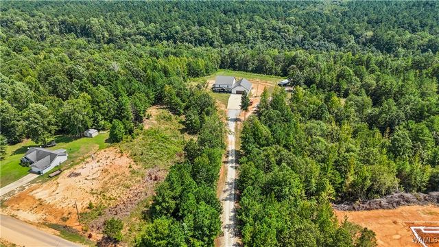 11762 Brant Ward Rd, Coaling, AL 35453