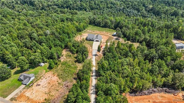 11762 Brant Ward Rd, Coaling, AL 35453