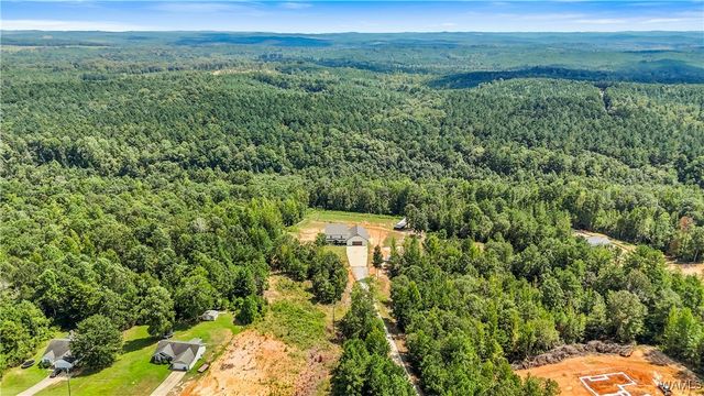 11762 Brant Ward Rd, Coaling, AL 35453