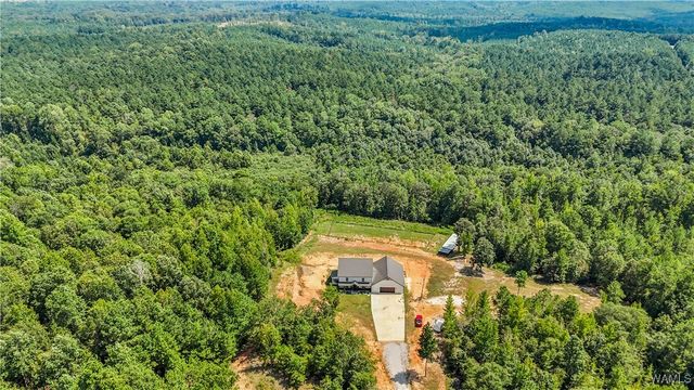 11762 Brant Ward Rd, Coaling, AL 35453