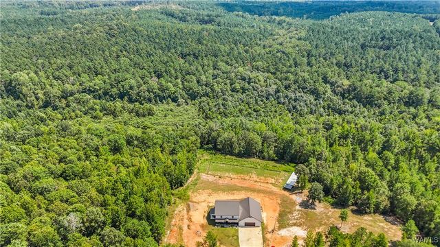 11762 Brant Ward Rd, Coaling, AL 35453