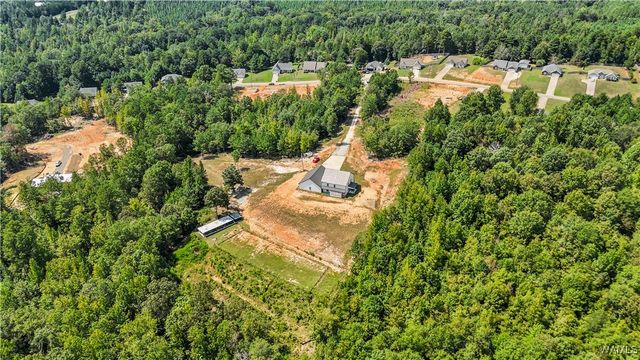 11762 Brant Ward Rd, Coaling, AL 35453