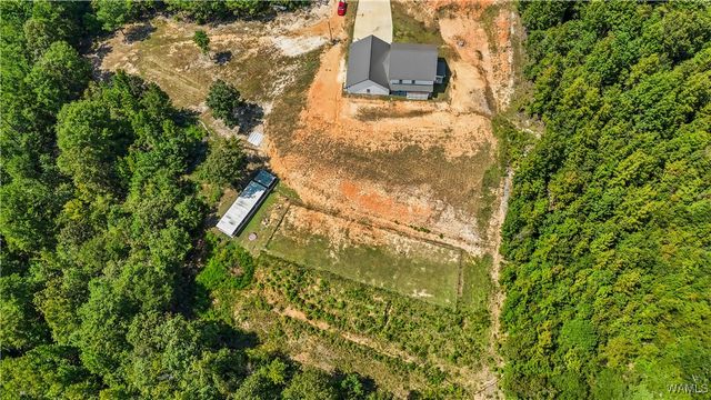 11762 Brant Ward Rd, Coaling, AL 35453