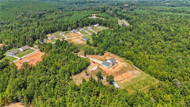 11762 Brant Ward Rd, Coaling, AL 35453