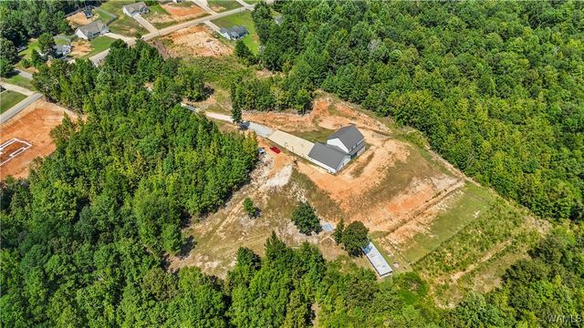 11762 Brant Ward Rd, Coaling, AL 35453