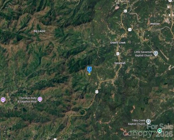 600 Hemlock Falls Drive, Sylva, NC 28779