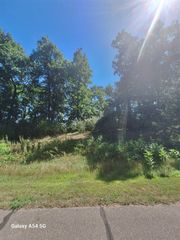 Lot #78 Lake Bluff, Grass Lake, MI 49240