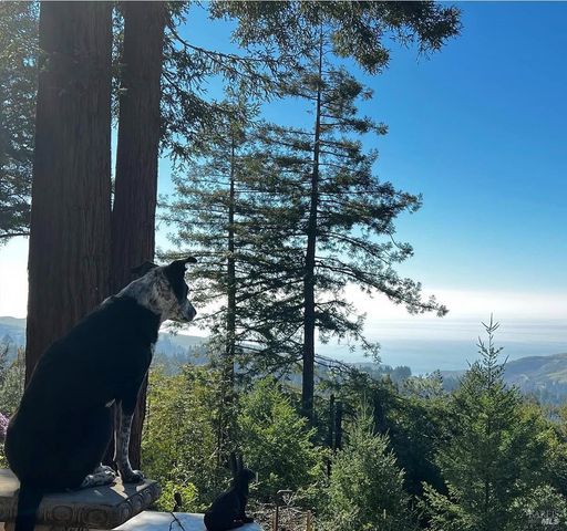 3100 Muniz Ranch Rd, Jenner, CA 95450