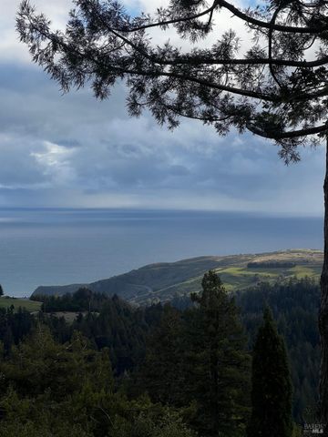 3100 Muniz Ranch Rd, Jenner, CA 95450